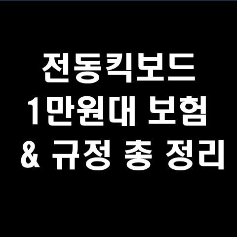  전동킥보드 보험 1만원대, 면허, 헬멧 과태료 등 규정 총 정리