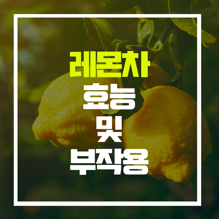  다이어트와 피부미용에 최고! '레몬차' 효능 및 부작용