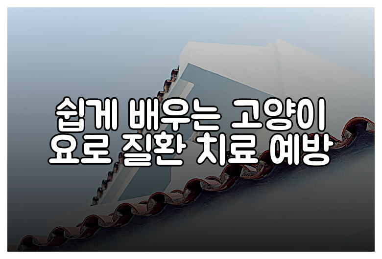 쉽게 배우는 고양이 요로 질환 치료 예방