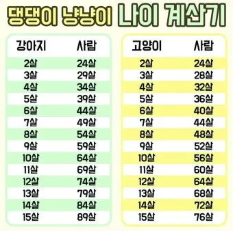 강아지 나이 계산법 평균수명 사람 나이 비교_20