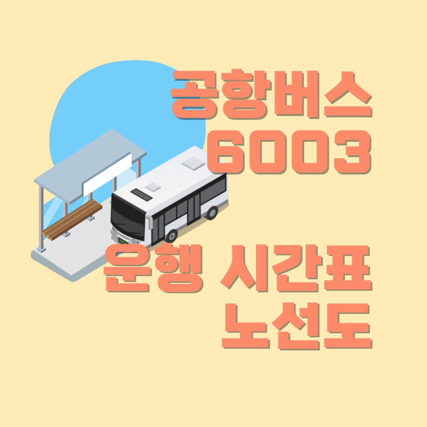  인천 공항버스 6003 시간표, 버스 현재위치, 요금 알아두기