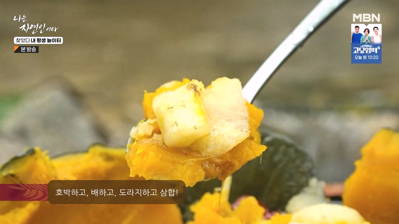 나는 자연인이다.E569.230831p-NEXT.mp4_20230831_201810.857.jpg