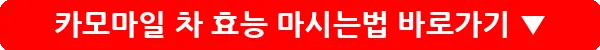 카모마일 차 효능 마시는법_19