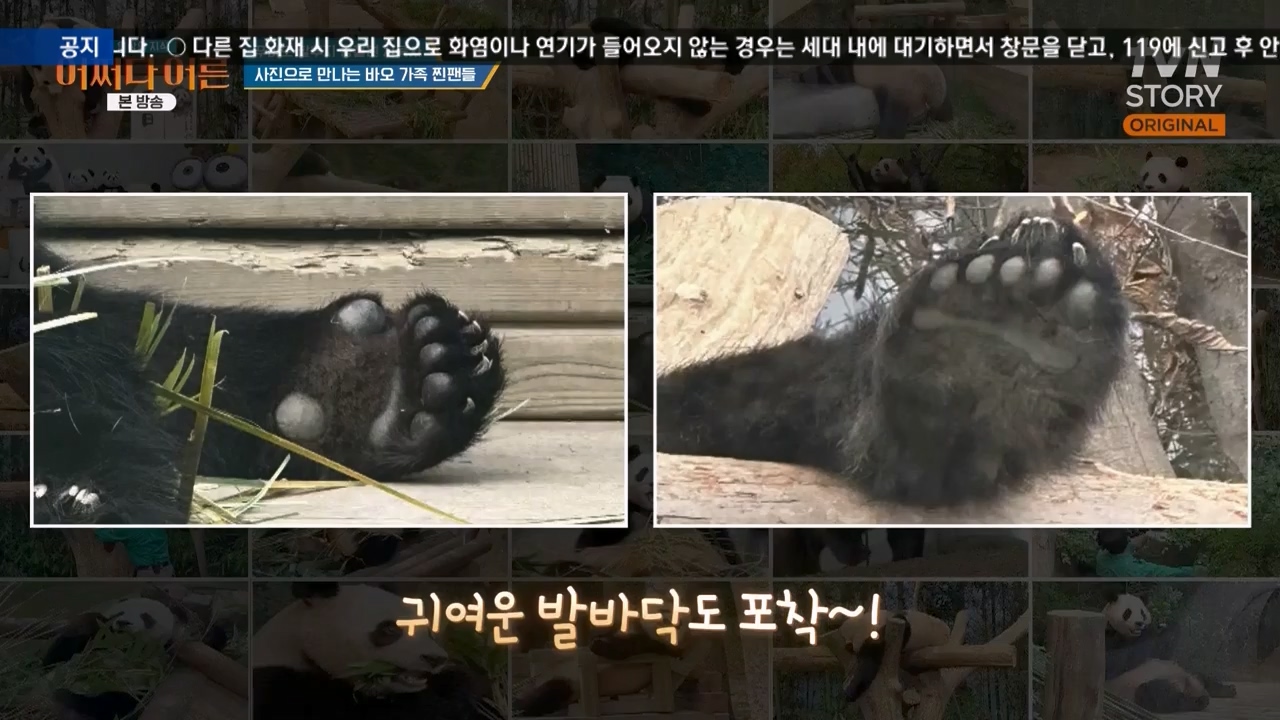 어쩌다 어른.E41.240131p-NEXT.mp4_20240201_203131.092.jpg