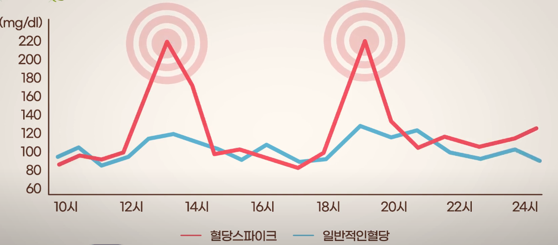  식사 후 혈당스파이크 혈당  낮추는 방법