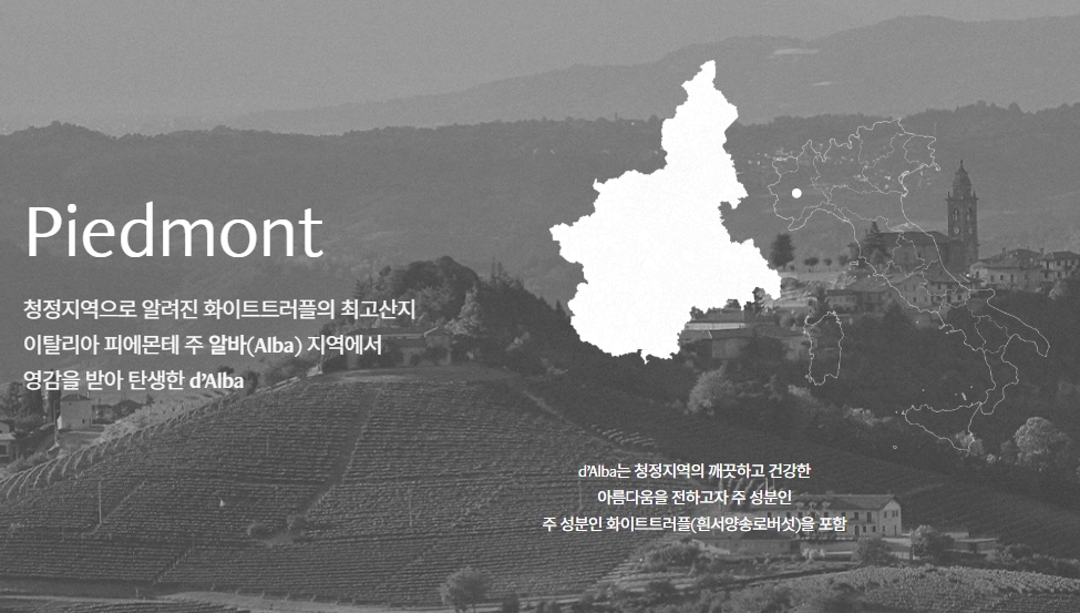 달바 글로벌 스토리