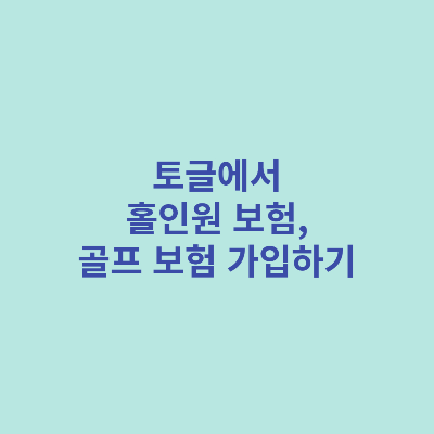 토글에서-홀인원-보험-골프-보험-가입하기