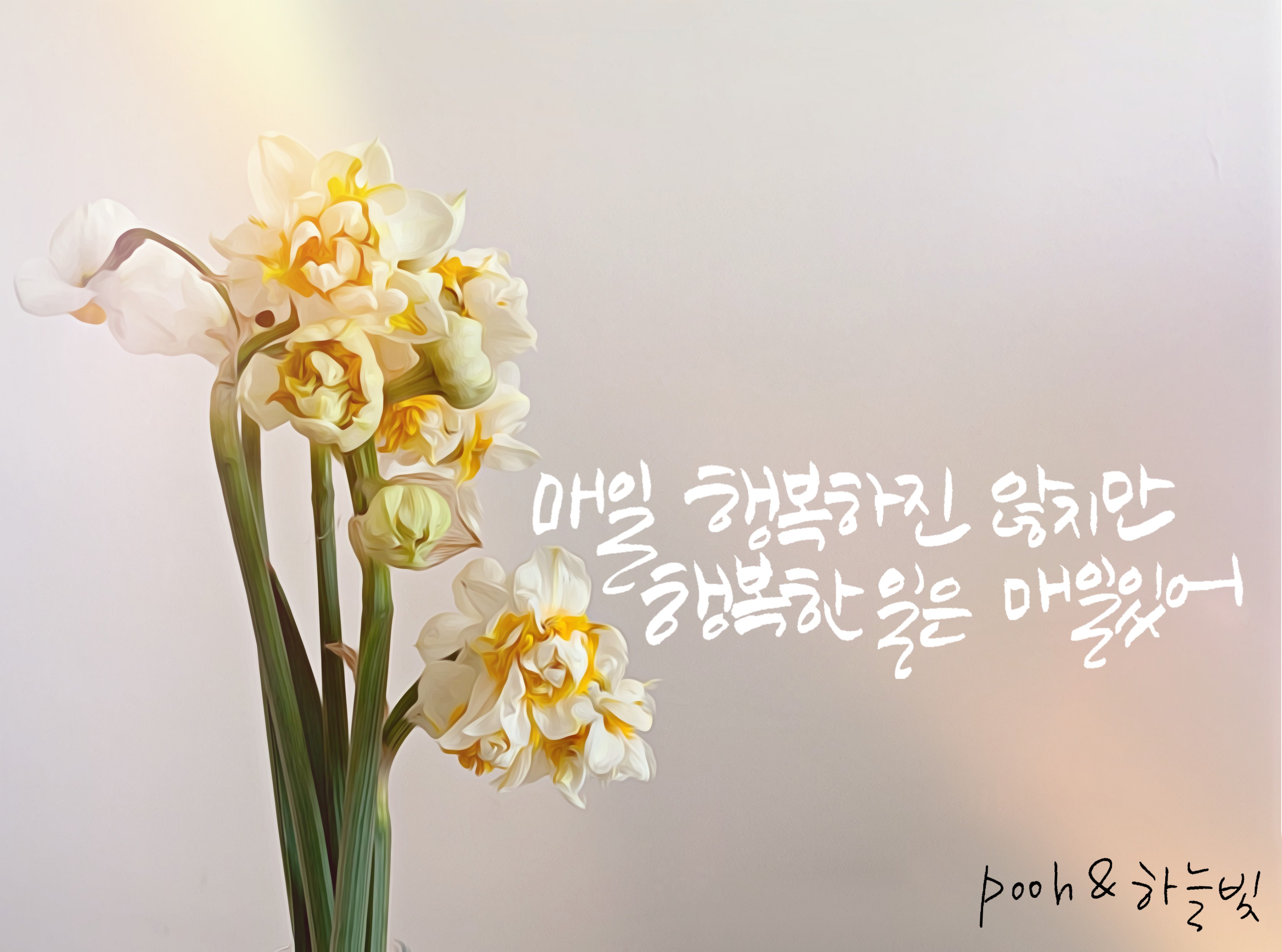  곰돌이 푸의 행복한일은 매일있어_좋은글귀 적어보았어요:-)