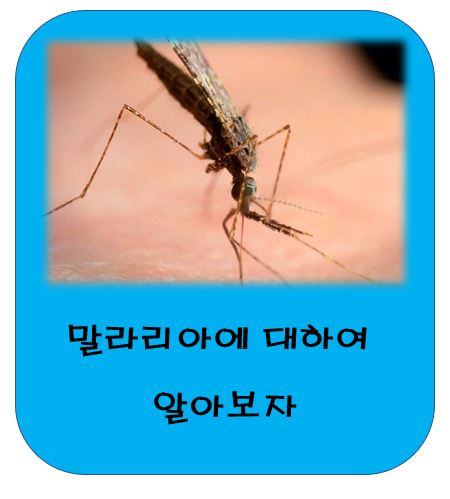 말라리아