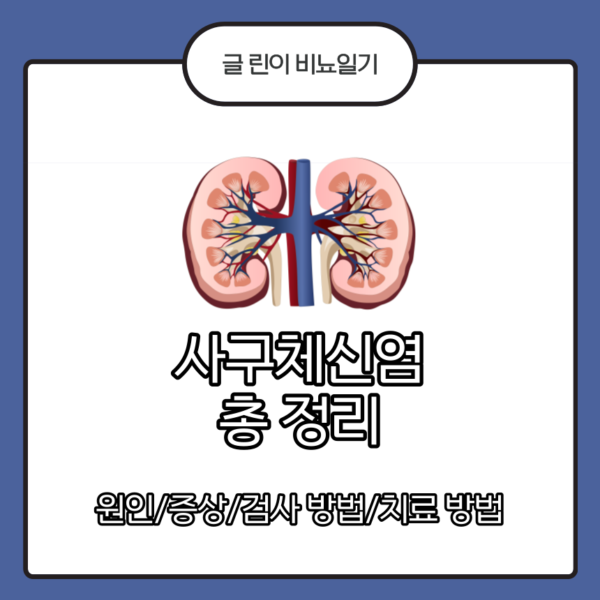  사구체신염 총 정리