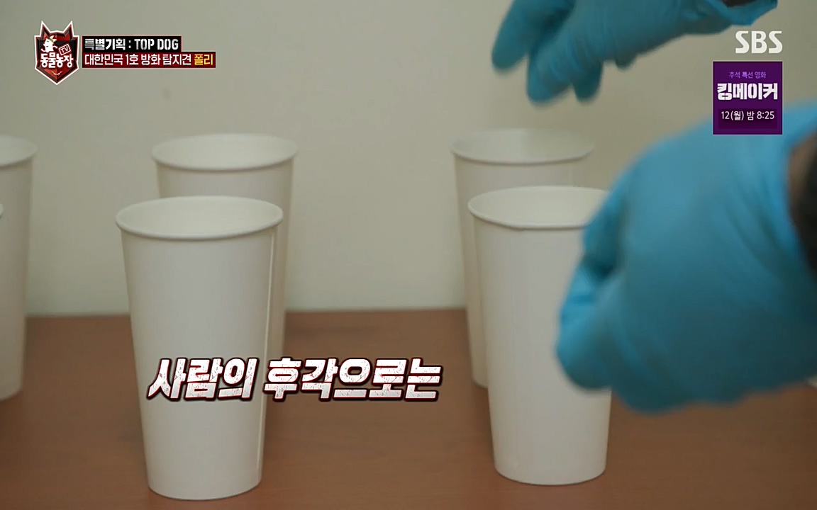 TV 동물농장.E1085.220905p-NEXT.mp4_20220904_173547.118.jpg