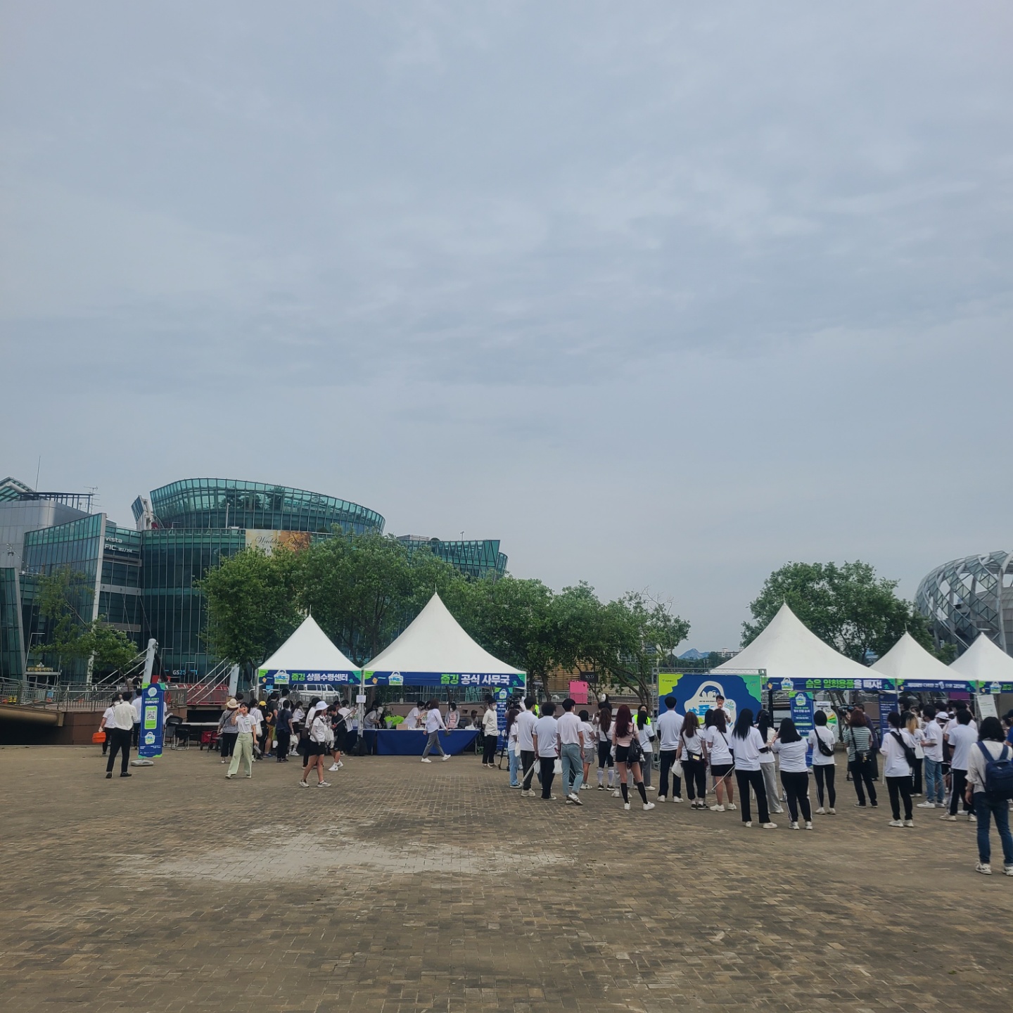 한강 줍깅으로 감탄해 행사 사진!