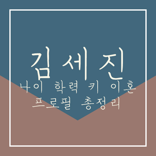 김세진 진혜지 인스타 나이 학력 키 이혼 전부인 구나연 프로필 총정리