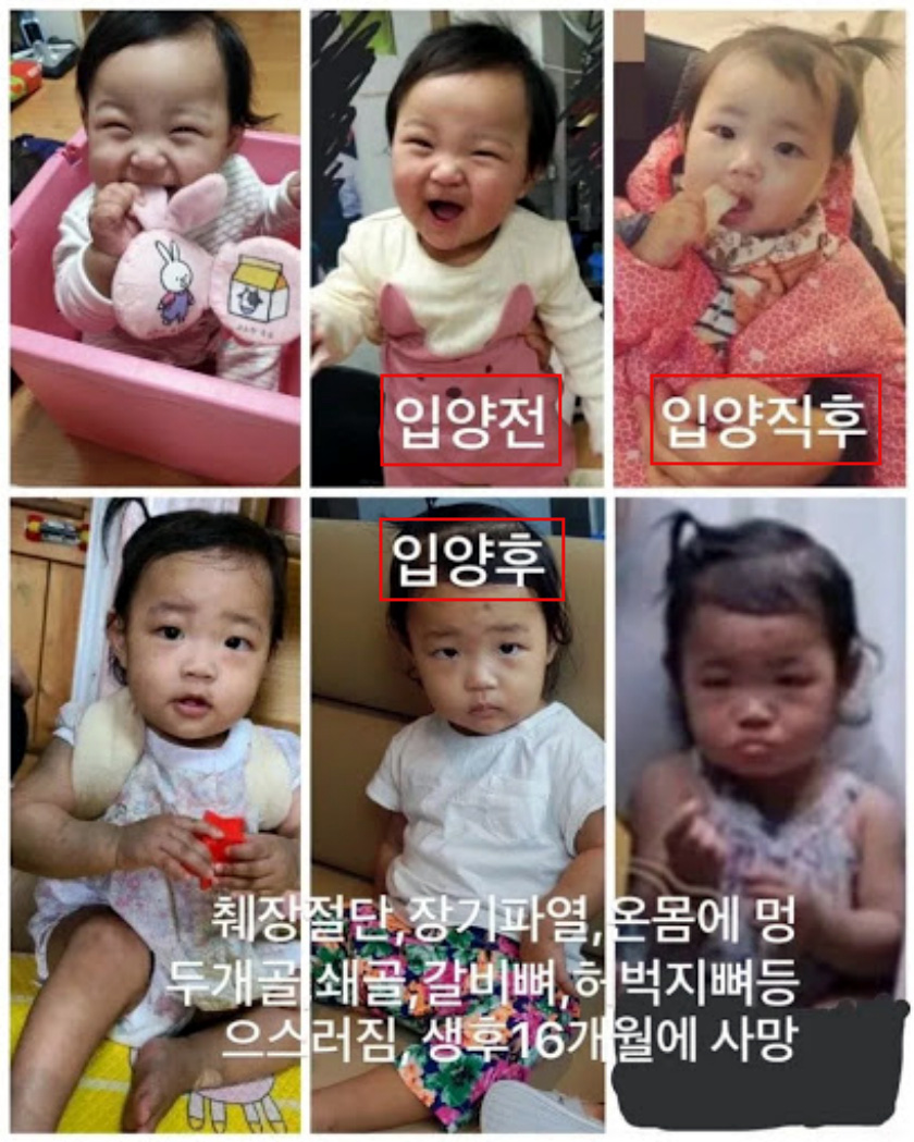 ì •ë½ì¸ì˜ ì‚¬ê±´ì¶