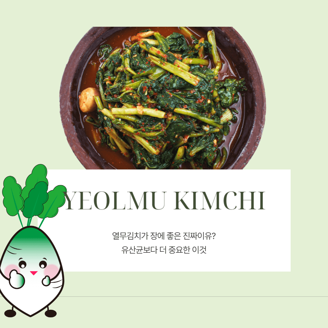 열무김치 장에좋은 이유