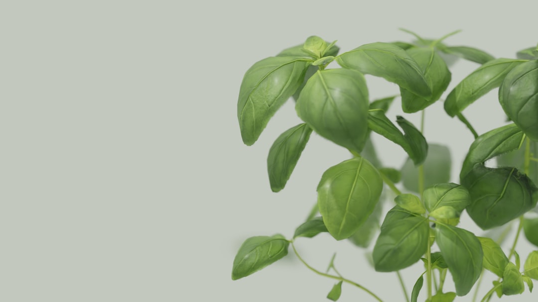 Herbal medicine