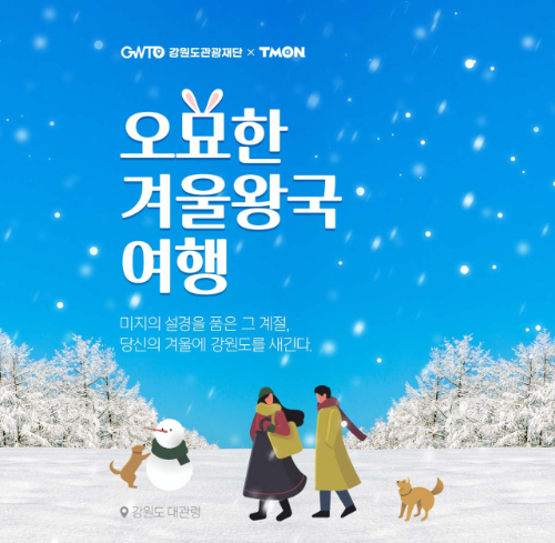  티몬 오묘한 겨울왕국 여행?