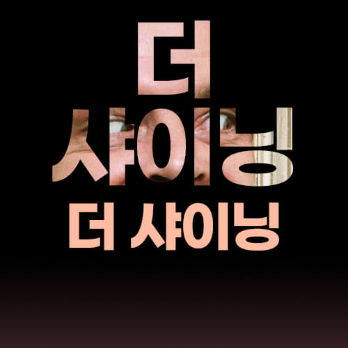 더샤이닝 이미지