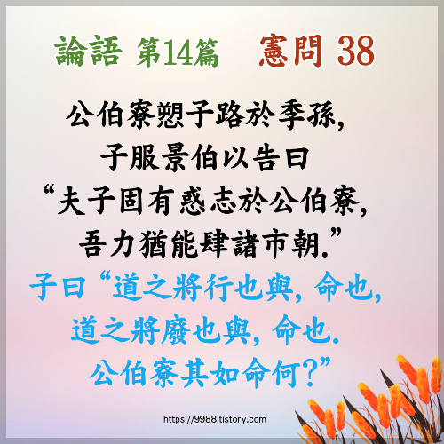 경백 이미지