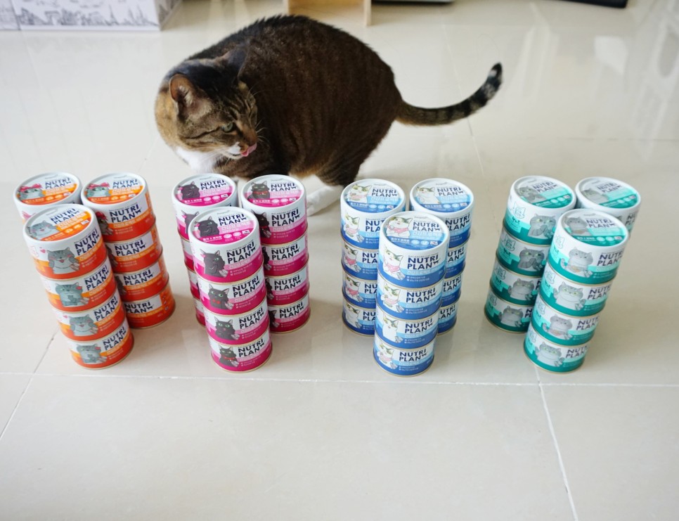 구냥이 고양이캔으로 네 건강관리해요 14