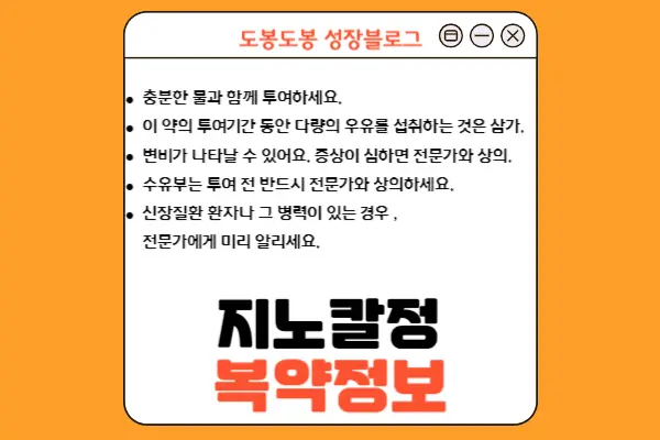 지노칼정 복약 정보 이미지