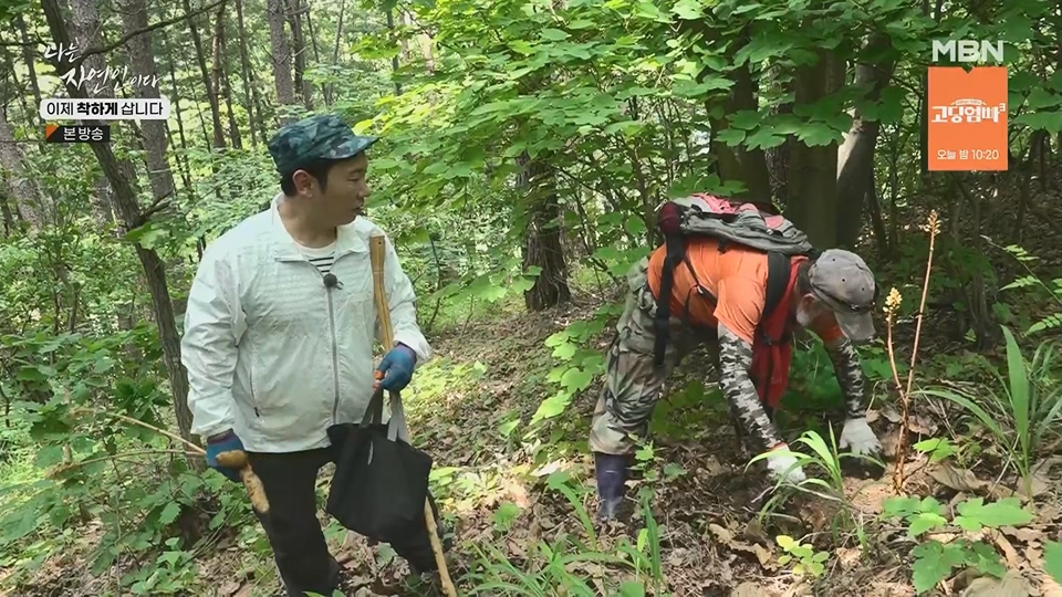 나는 자연인이다.E560.230628p.H264-F1RST.mp4_20230701_182700.346.jpg