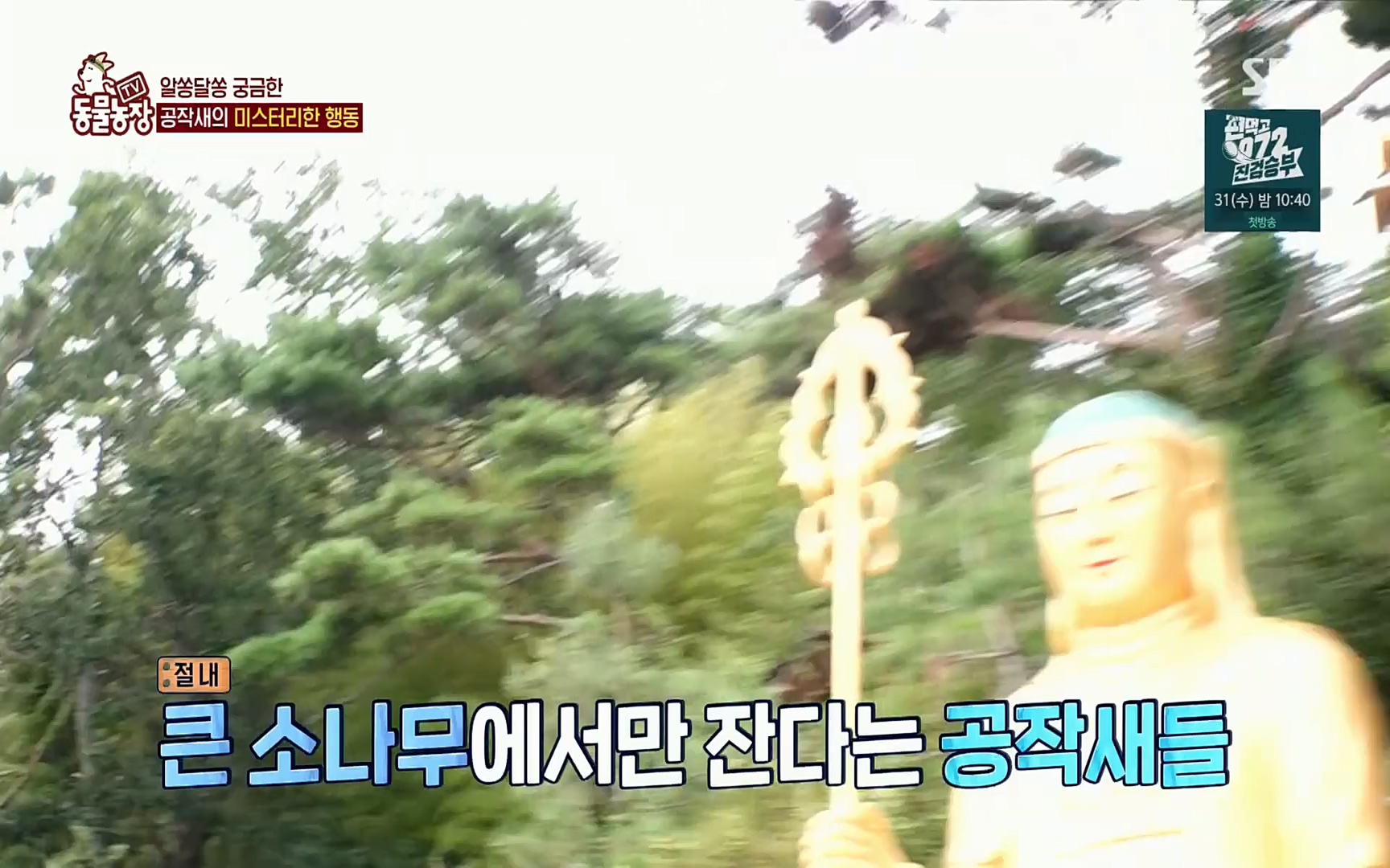 TV 동물농장.E1084.220828p.H264-F1RST.mp4_20220828_154051.993.jpg