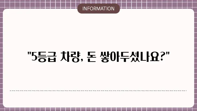 5등급 차량 지속가능성 방안