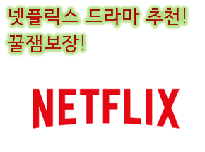  넷플릭스 드라마 추천! 미드 추천! 직접 본것만 추천합니다!