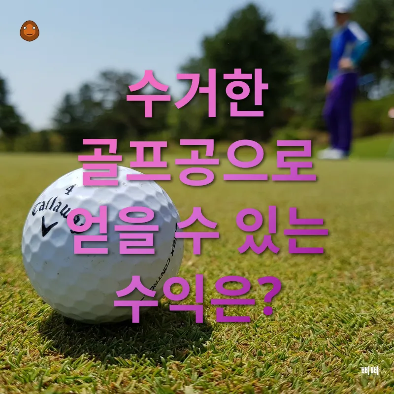 골프공 수거 다이버_2