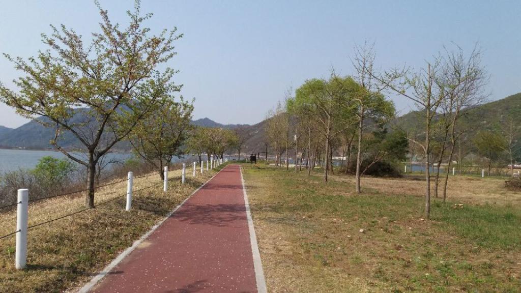 춘천 하중도 수변 생태공원