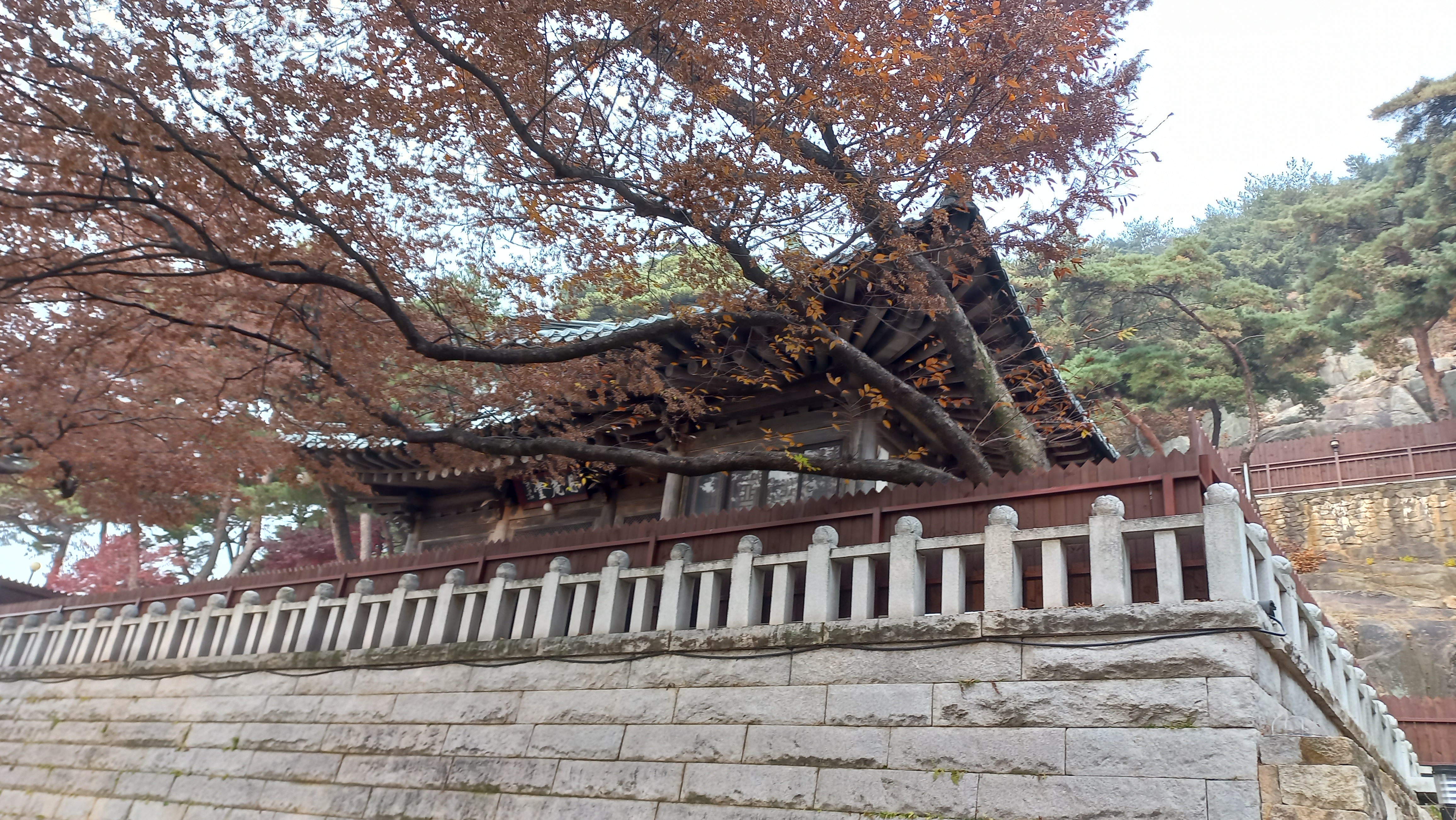 삼막사 가는길, 삼성산 삼막사 - 행복의 유효시간은 지금 이미지