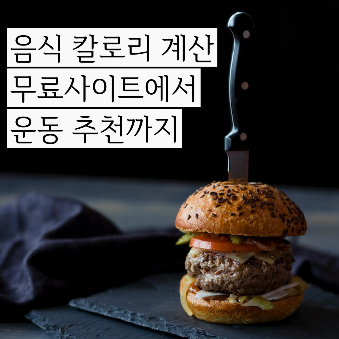  총정리! 매일 먹는 음식 칼로리 계산기 다이어트 섭취 칼로리는 다이어트 신~
