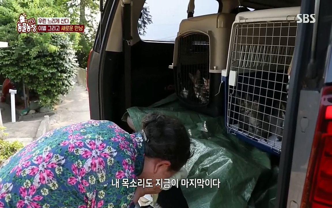 TV 동물농장.E1076.220704p.H264-F1RST.mp4_20220703_175612.791.jpg