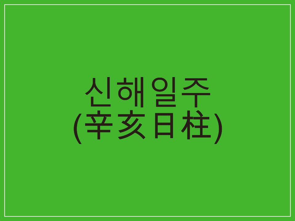  신해일주(辛亥日柱) 일주론 요약