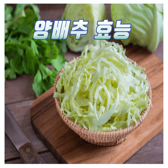 양배추 효능과 효과, 요리방법