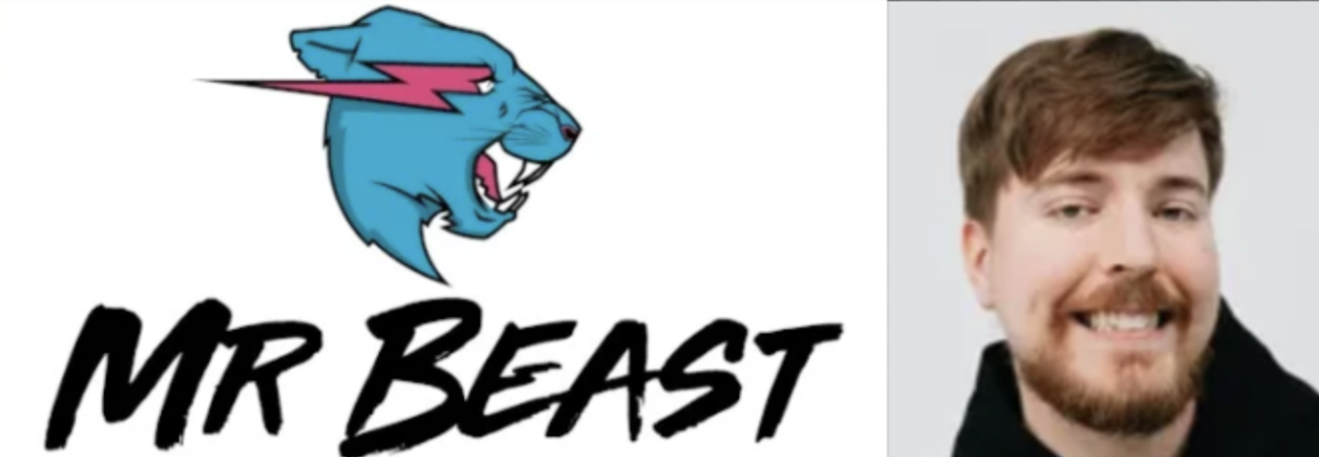  미스터비스트 ( '일론머스크'의 제안을 거절 할 수 있었던 이유.)