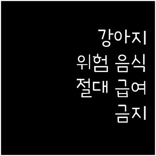 강아지 건강 적신호! 피해야 할 음식