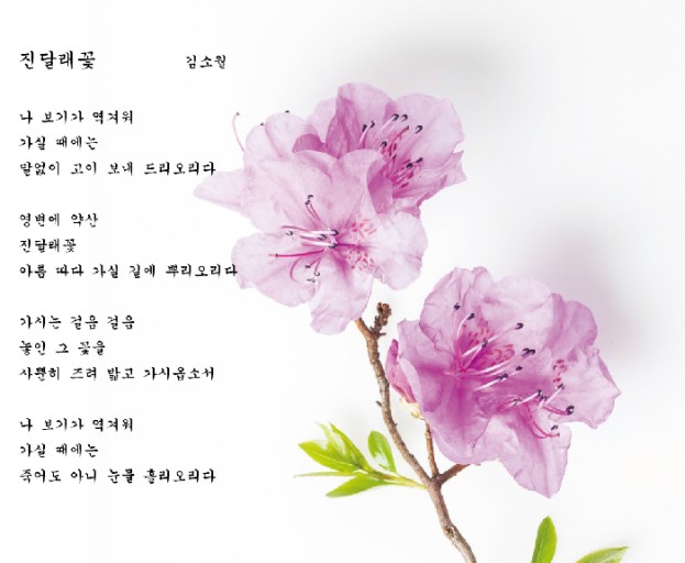 진달래꽃-김소월-시