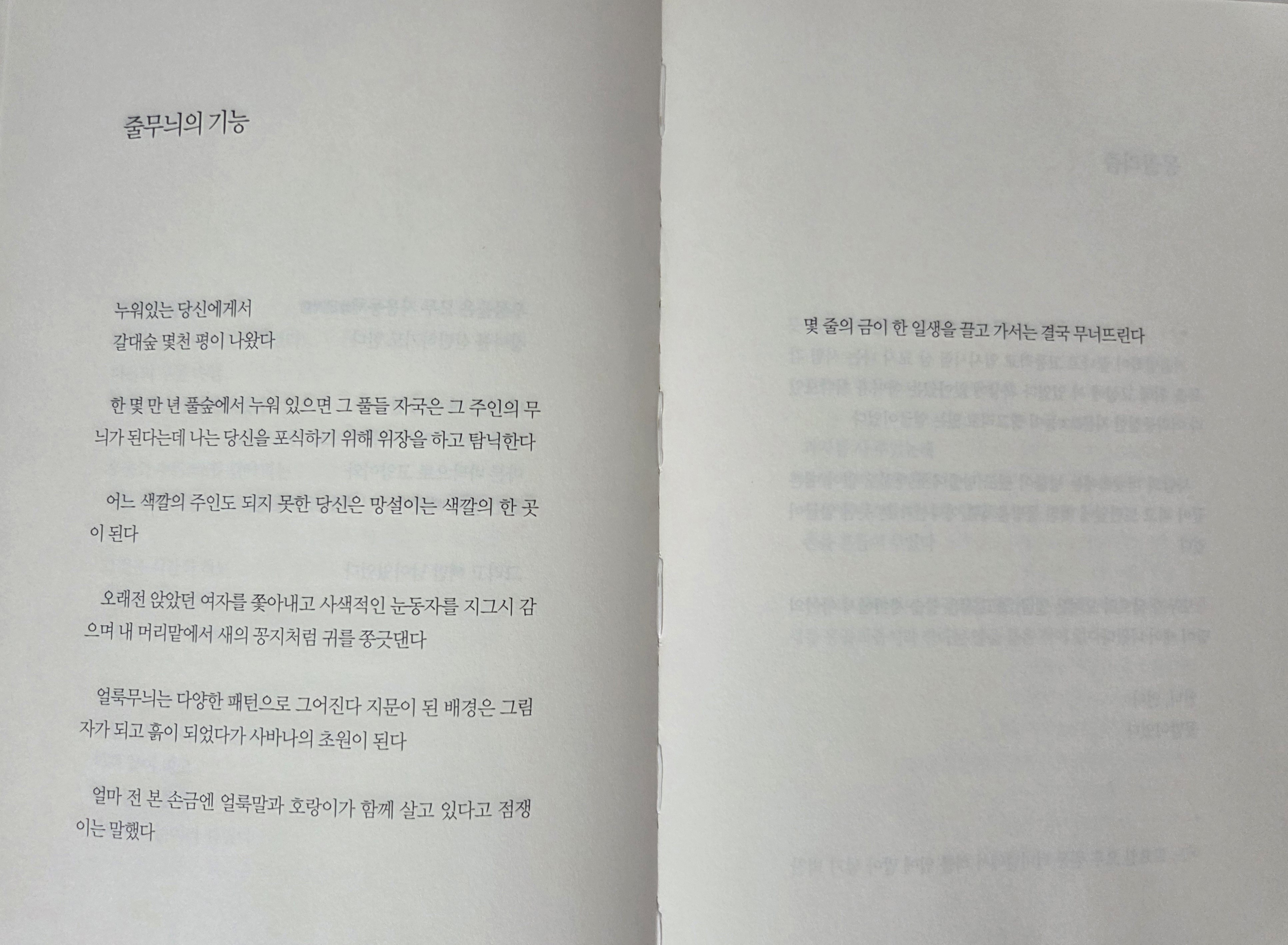 시집 이미지
