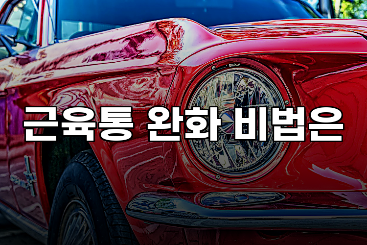 근육통 완화 비법은