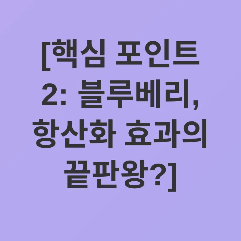블루베리 효능_2