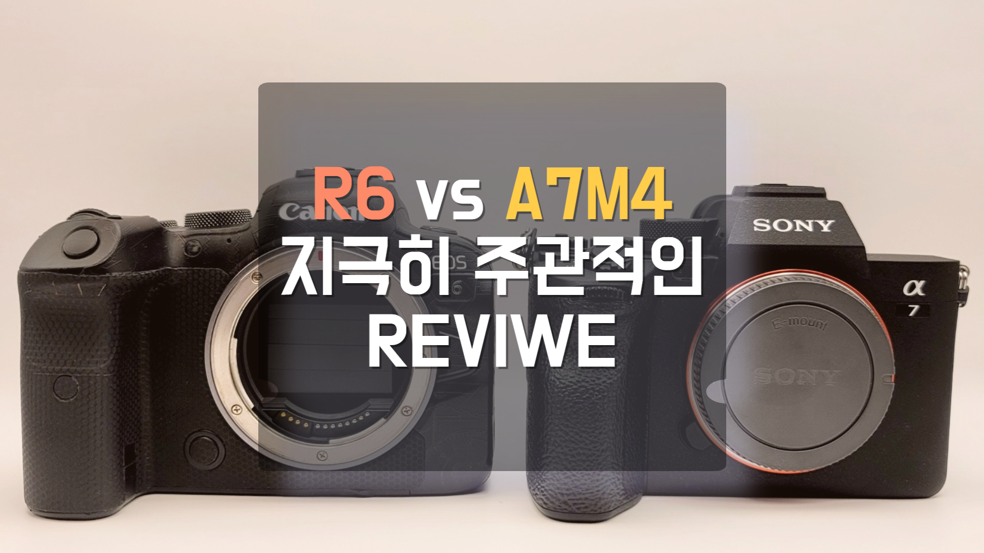  캐논 R6 vs 소니 A7M4 주관적인 비교 리뷰