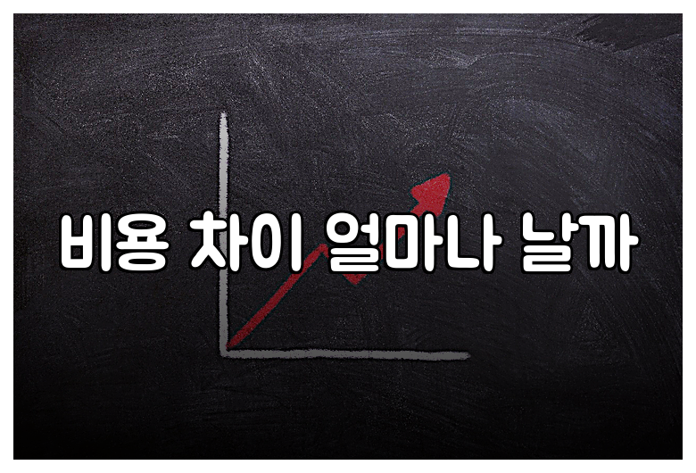 비용 차이 얼마나 날까