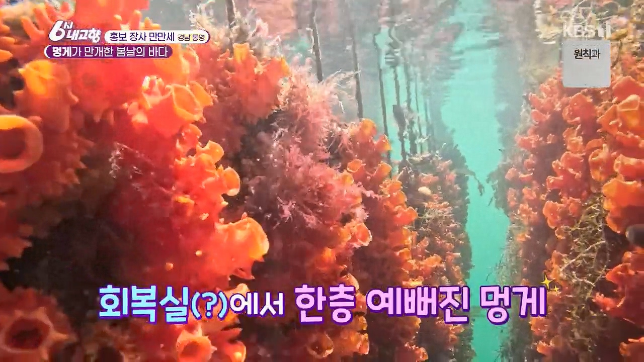 6시 내고향.E7779.230503p.H264-F1RST.mp4_20230505_181354.898.jpg