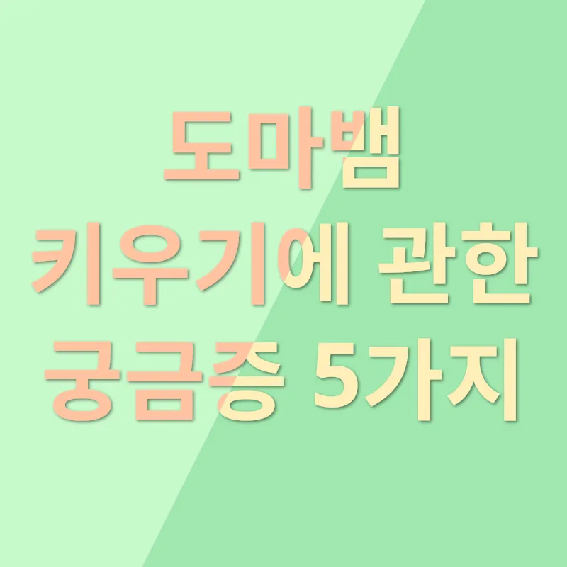 도마뱀 키우기_4