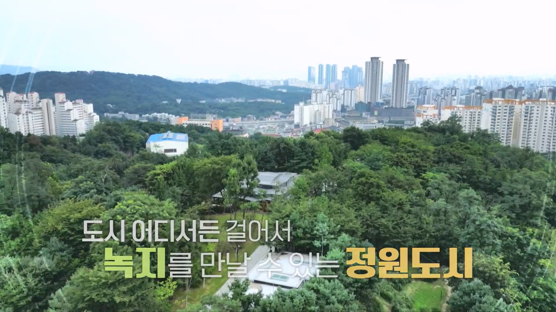 다큐 On.E230.231209p.H264-F1RST.mp4_20231211_192637.296.jpg