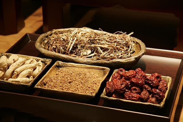 전통 의학의 숨겨진 보물 : 자연 치유법의 과학적 근거
