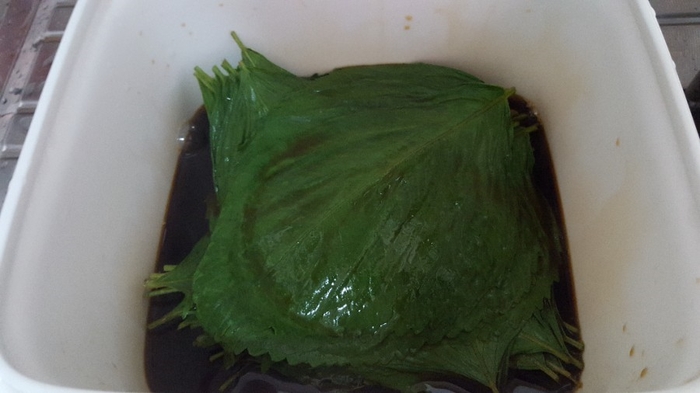 “깻잎장아찌”data-ke-mobilestyle=