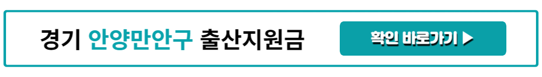 경기 안양만안구 출산지원금